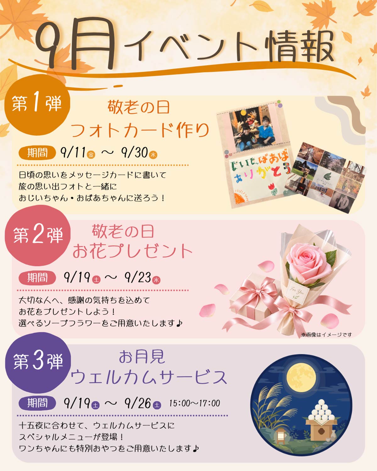 地ビールで乾杯画像