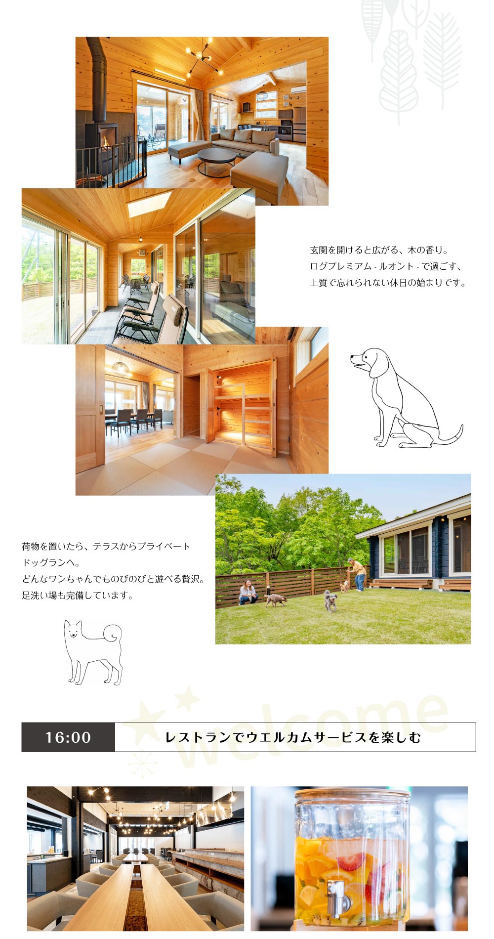 過ごし方luonto編画像2