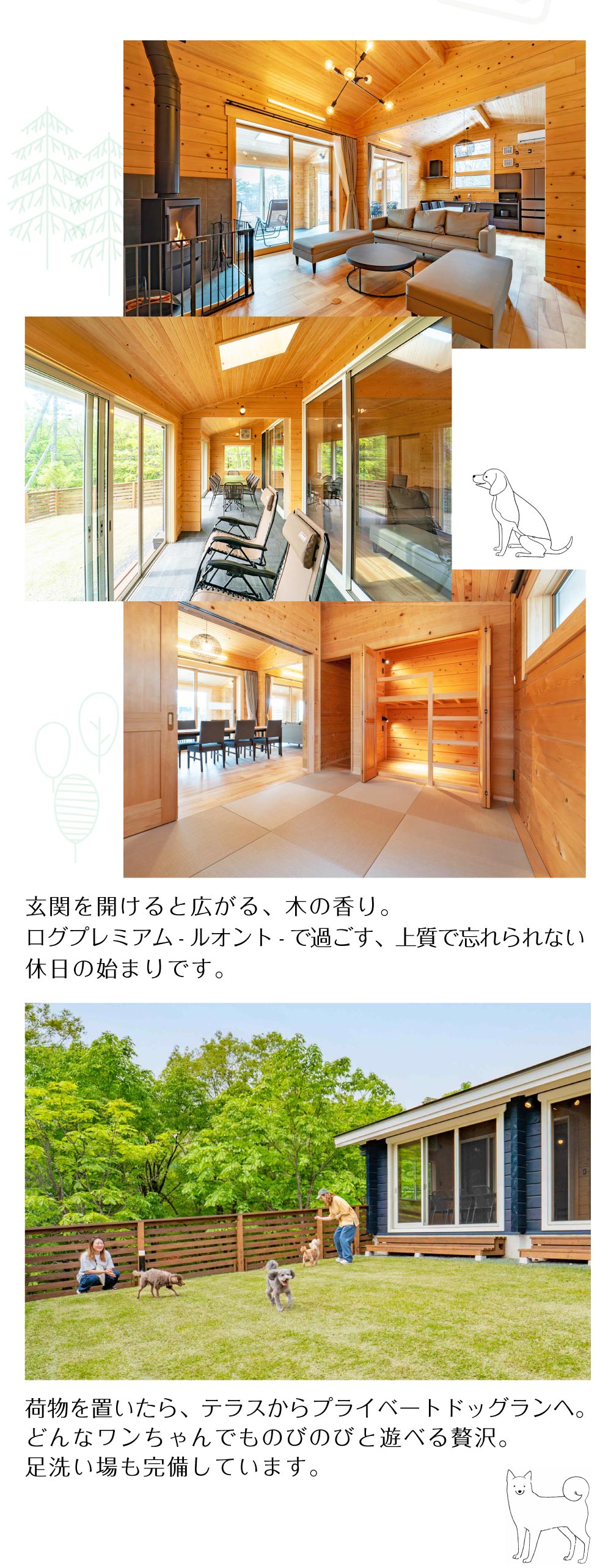 過ごし方luonto編sp画像2