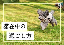 滞在中の過ごし方画像