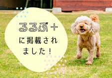 るるぶ掲載紹介画像