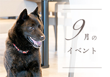 9月のイベント画像