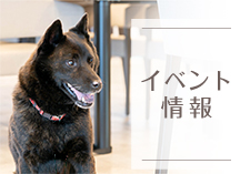 イベント情報画像